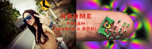 шишки Бородино