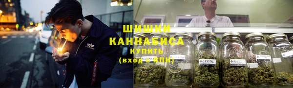 шишки Бородино