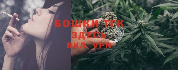 шишки Бородино