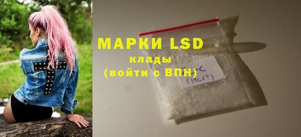 шишки Бородино