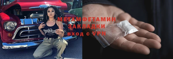 шишки Бородино