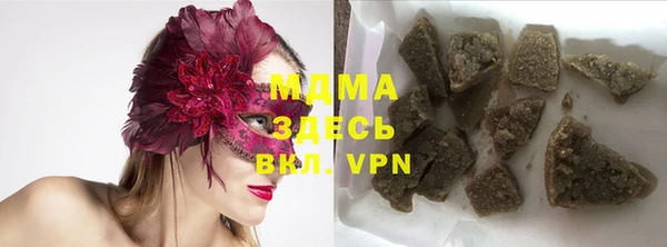 шишки Бородино