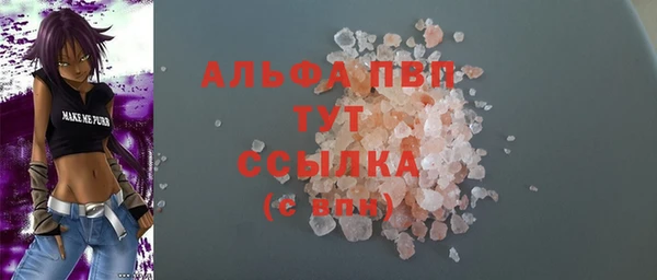 шишки Бородино