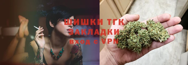 шишки Бородино