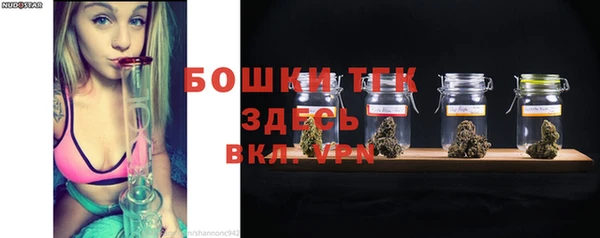 шишки Бородино